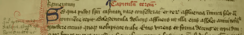 A section of text from a medieval manuscript (MS Lat 89)