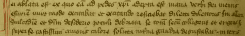 A section of text from a medieval manuscript (MS Lat 89)