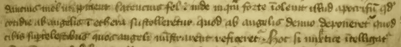 A section of text from a medieval manuscript (MS Lat 89)