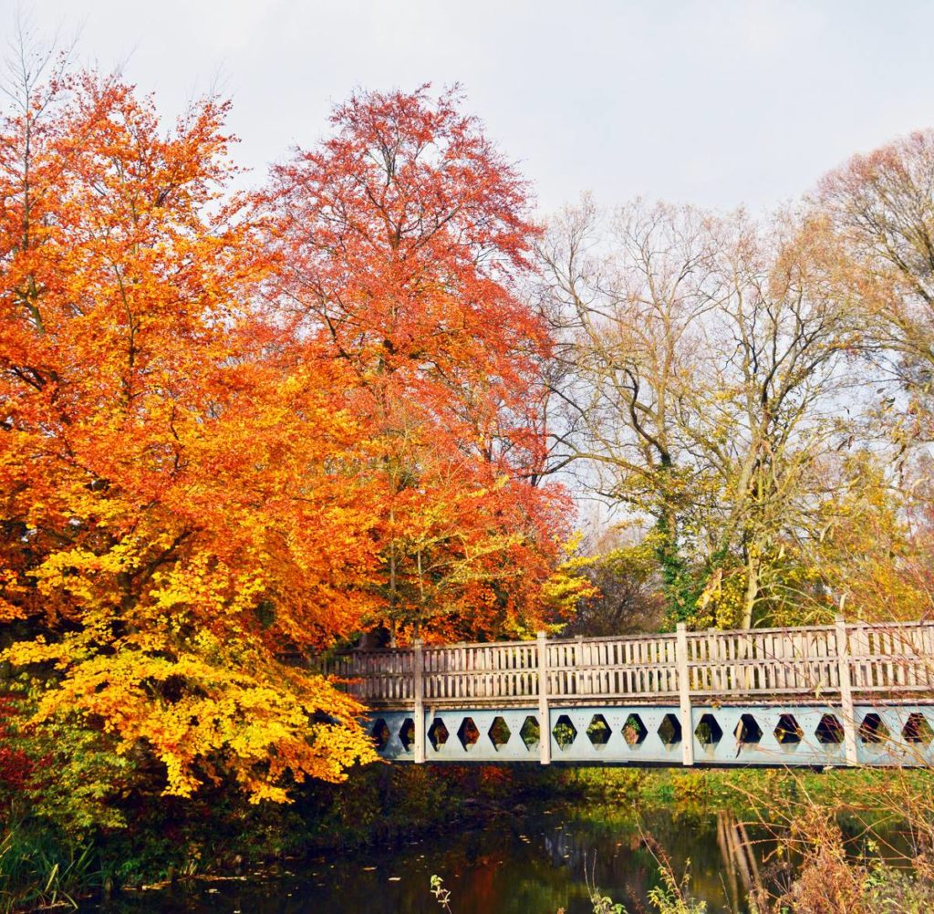 magdalen college oxford tours