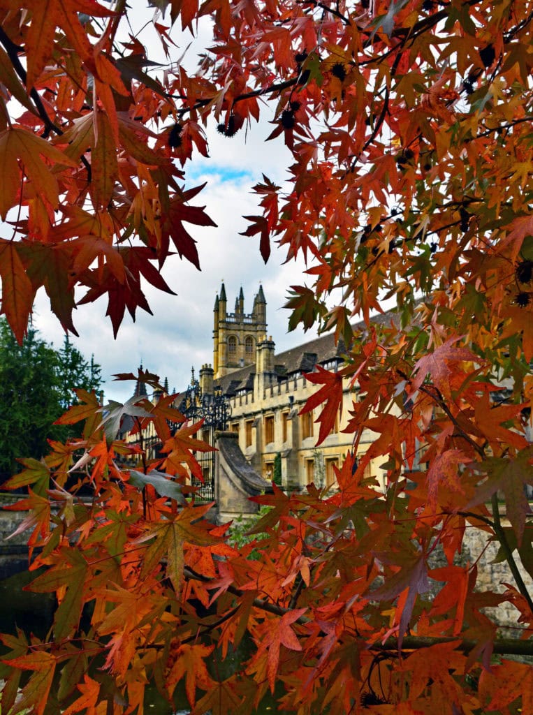 Picture of College through autumn leaves