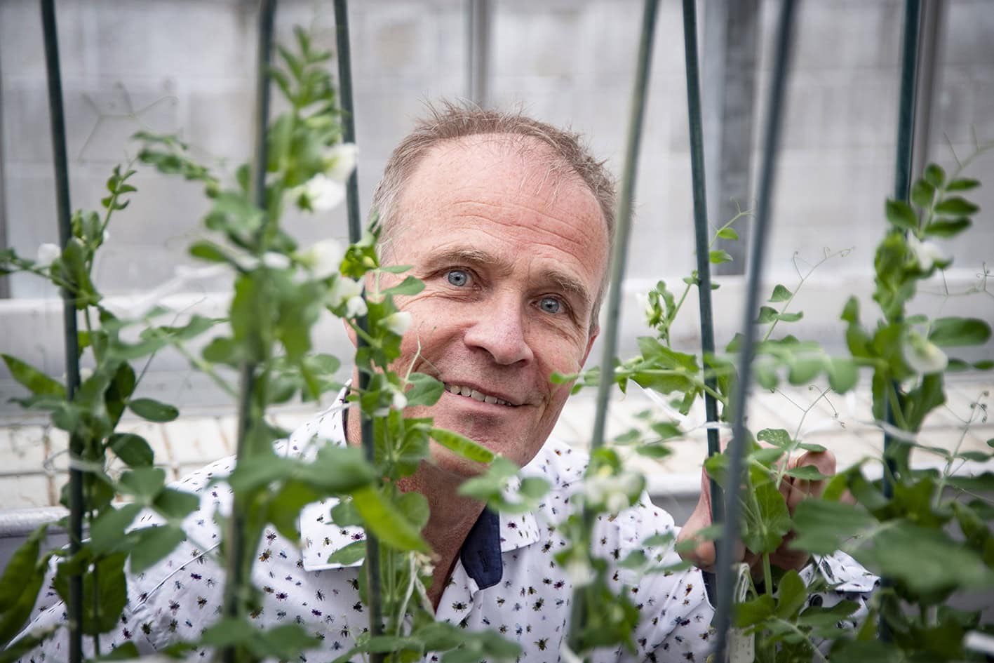 New Sherardian Professor of Botany - Magdalen College
