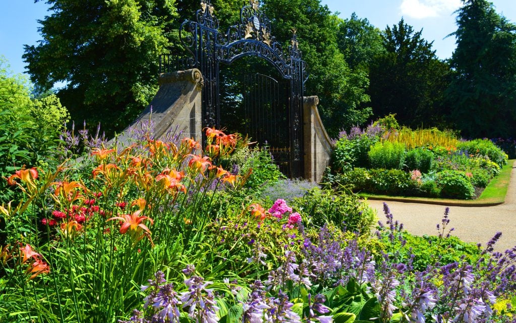 a view of the herbaceous border including the gate to addison's walk/. The border is resplendant in greens, purples, oranges, res, pinks, yellows, etc.