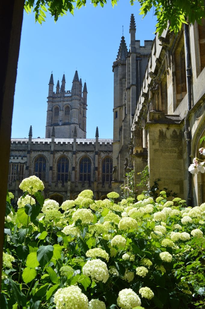 a photo of the tower viewed from cloisters with the hydrangeas and roses in the foreground. the sky is a clear, uncut blue