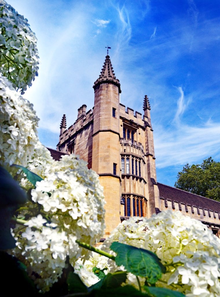 A photograph of the Founders Tower in Cloisters in high summer. In the foreground are white hydrangeas