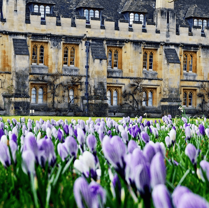 Magdalen peeks out from behind the Spring crocuses