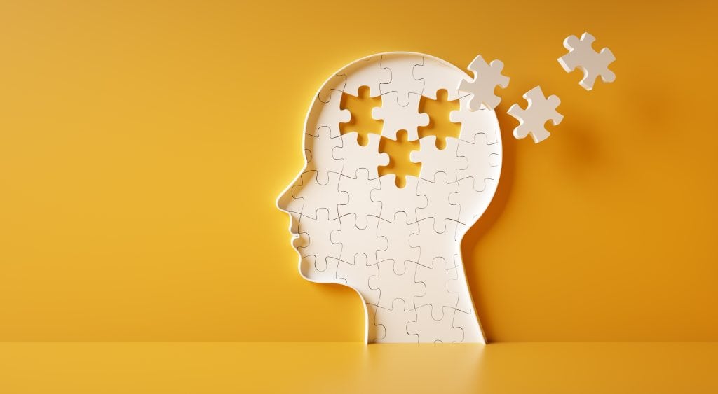 Image of the brain with pieces missing