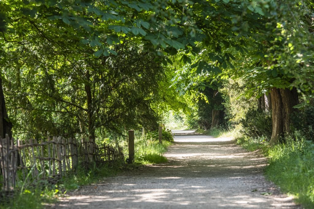 Addison's Walk