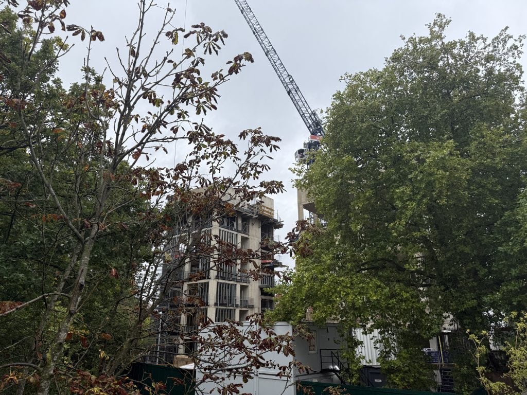 A concrete building frame under construction at the Waynflete site, partially obscured by trees under an overcast sky. Sparse, turning leaves on foreground branches frame the left side. A tall construction crane stretches upwards behind dense green foliage on the right. Site portacabins and temporary fencing line the ground level.